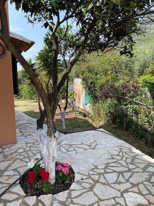 Casa Piccolino Paramonas (Corfu)